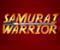 Samurai Warrior